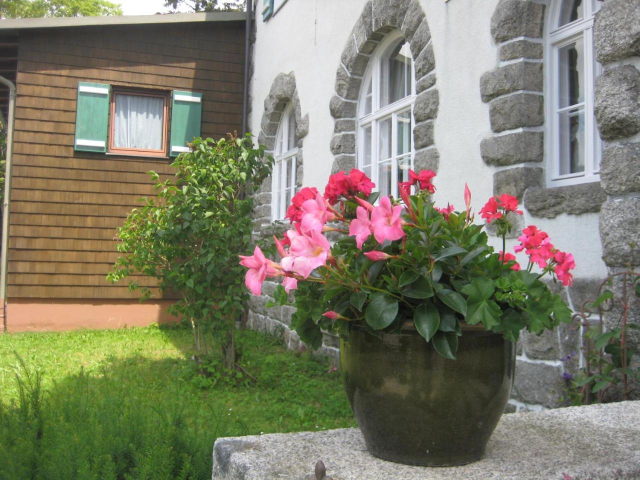 Gasthof Pension Strohmaier Haidmühle Exterior foto